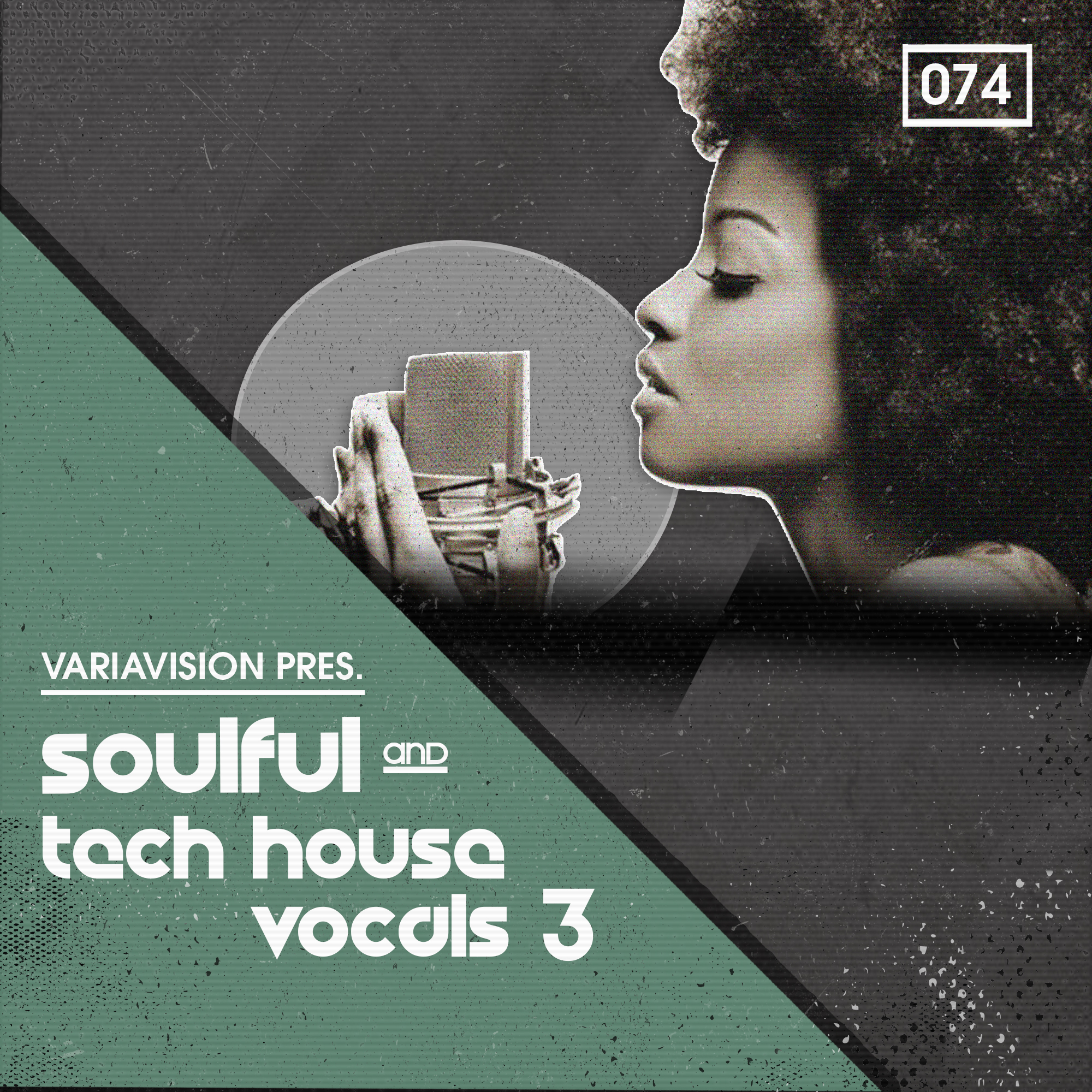 Bingoshakerz Soulful & Tech House Vocals 3